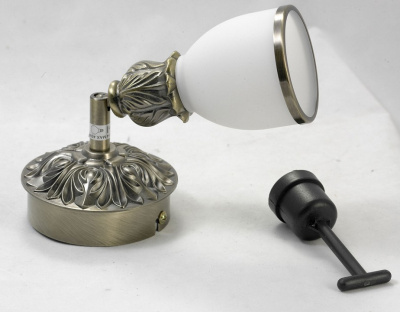 Спот Lussole Furlo LSL-7301-01. Фото