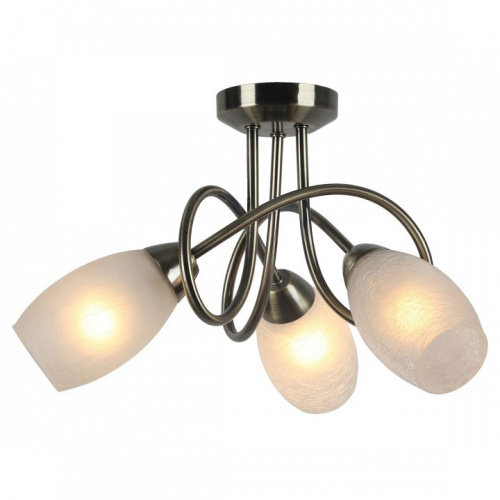 Потолочная люстра Arte Lamp Mutti A8616PL-3AB. Фото №1