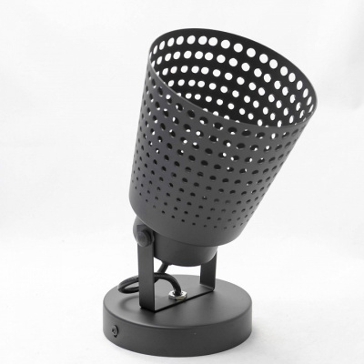 Спот Lussole Erie LSP-9834. Фото