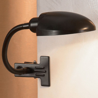 Настольная лампа офисная Lussole Roma LST-4214-01. Фото