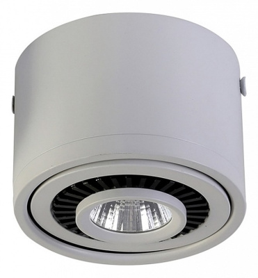 Накладной светильник Favourite Reflector 1775-1C фото Накладной светильник Favourite Reflector 1775-1C. Фото №2