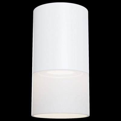 Накладной светильник Maytoni Pauline C007CW-01W фото Накладной светильник Maytoni Pauline C007CW-01W. Фото №2