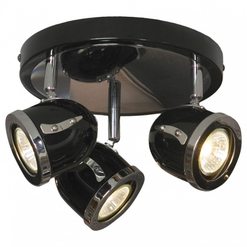 Спот Lussole Tivoli GRLSN-3127-03. Фото №1