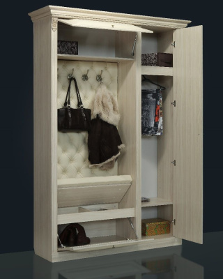 Прихожая Благо 5 Б 5.1. Фото №4