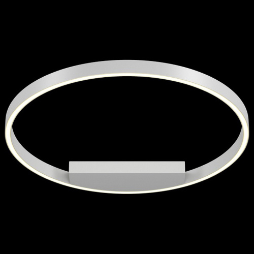 Накладной светильник Maytoni Rim MOD058CL-L35W4K. Фото №2