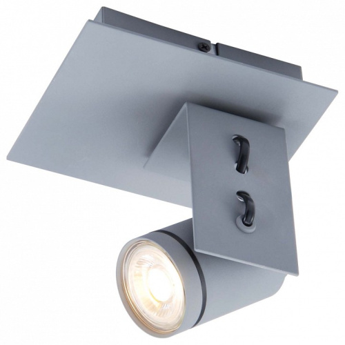 Спот Lussole Dillingham GRLSP-8022 фото Спот Lussole Dillingham GRLSP-8022. Фото №1