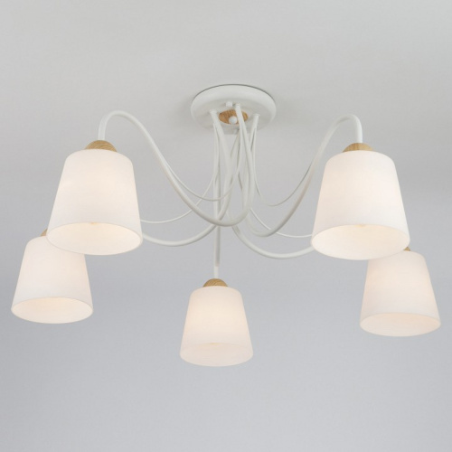 Потолочная люстра Eurosvet Betty 70062/5 белый. Фото №1