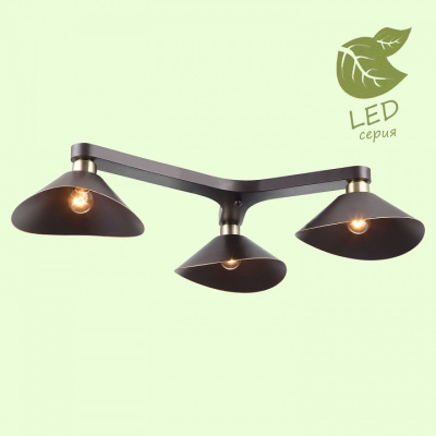 Потолочная люстра Lussole Opelika GRLSP-9534. Фото